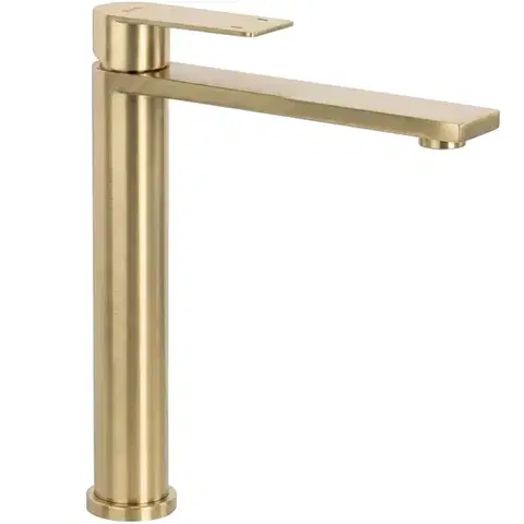 REA Umyvadlová vysoká baterie Hunter Brush Gold vysoká REA-B6692