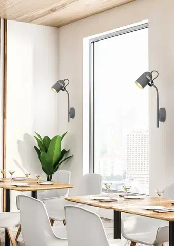 Nástěnná lampa 1xE14 šedá 40cm ŠEDÁ