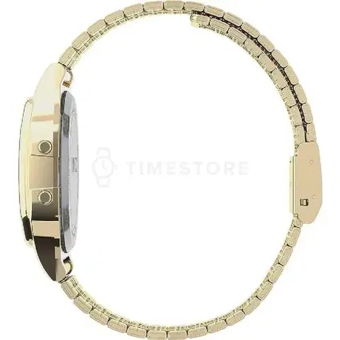 Timex  TW2V18900