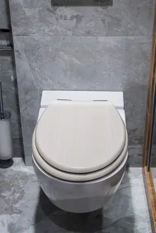 Wc sedátko se zpomalovacím mechanismem AWD Interior MDF bílý dub 1066 AWD02181066