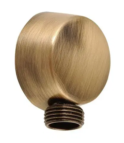 SAPHO Vývod sprchy, průměr 50, bronz 9816