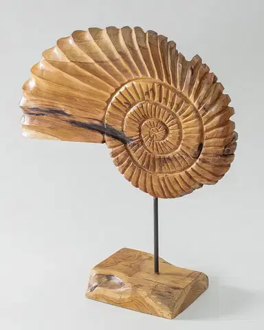 Dekorace Helix 49 cm