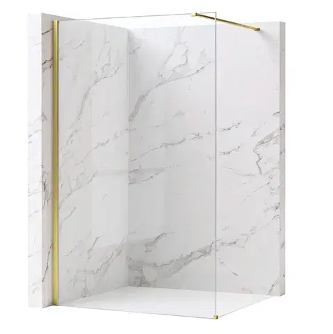 REA/S Sprchová zástěna Flexi Transparent / Brush Gold 100 KPL-K99262
