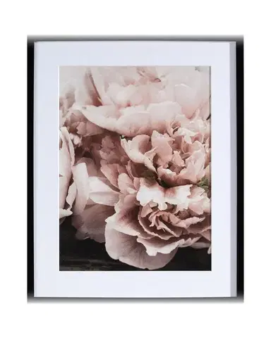 Obraz Peony Sunset I 40x50cm
