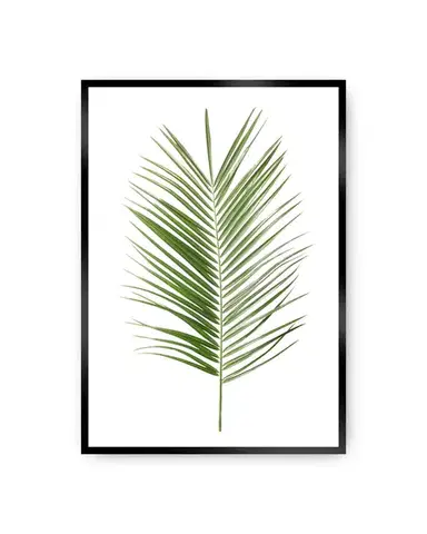 Plakát Palm Leaf Green