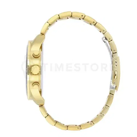 Citizen Quartz AN8169-58L