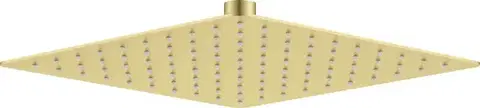 DEANTE Cascada kartáčované zlato Sprchová hlavice 250x250 mm NAC_R02K