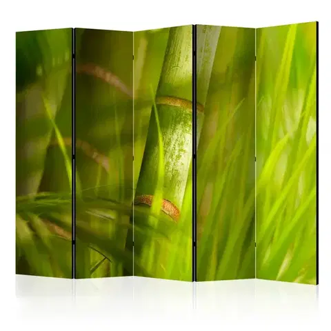 Paraván Bamboo - nature zen Dekorhome