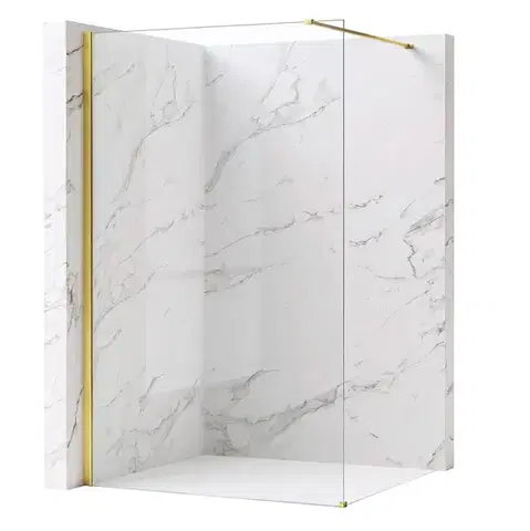 REA/S Sprchová zástěna Flexi Transparent / Gold 120 KPL-K99560