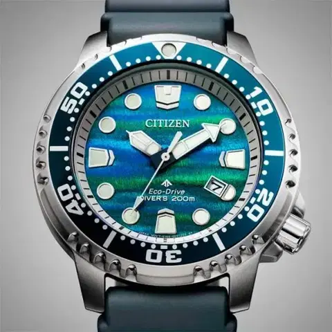 Citizen Promaster Diver Limited Edition BN0167-09W