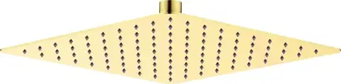 DEANTE Cascada zlato Sprchová hlavice, ocel 250x250 mm NAC_Z02K