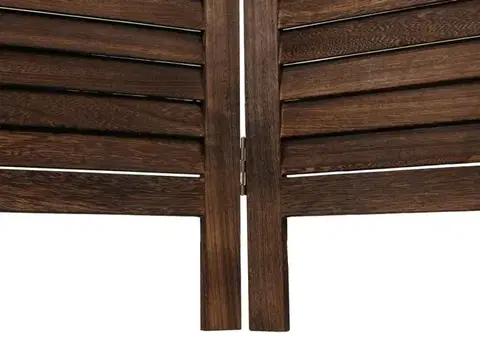 Designový paraván 6dílný Dekorhome