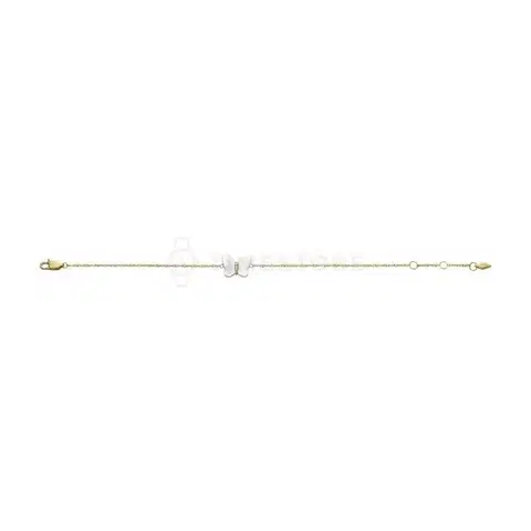 Fossil Radiant Wings JF04425710