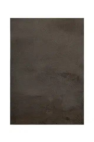 Obsession, Kusový koberec Zen Sei 200 Anthrazit, 160x230, šedá, chodba / předsíň