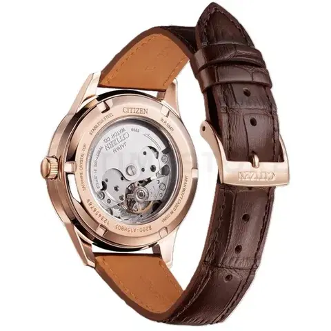 Citizen Collection NY4052-16A