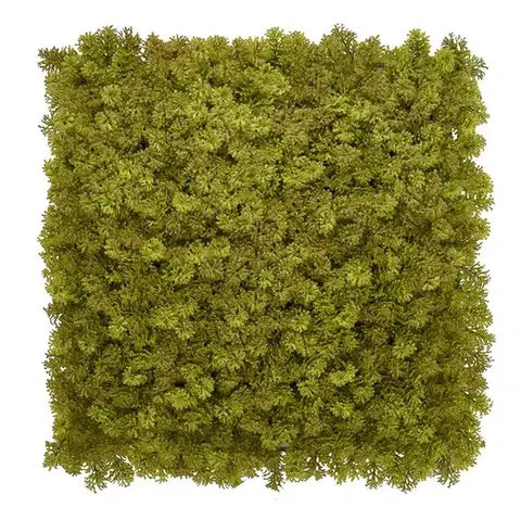 Europe Grass Umělý rostlinný panel KATE MOSS 50 x 50 cm - Panel 50x50 cm