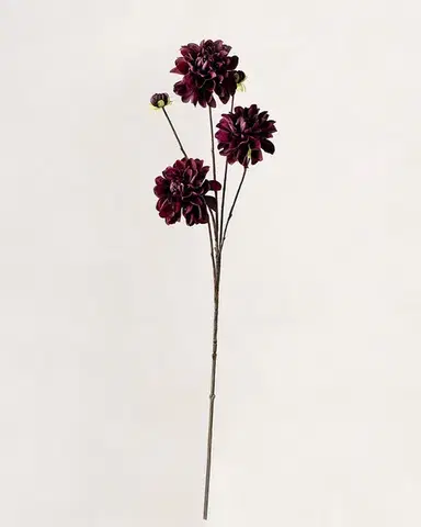 Větevicka dahlie 90 cm