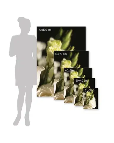 Plakát Dark Flowers I
