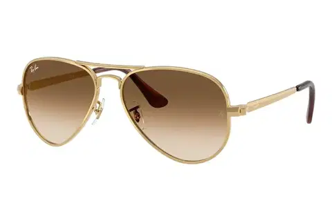 Ray-Ban Aviator Max RB3925 001/51 - L (62)