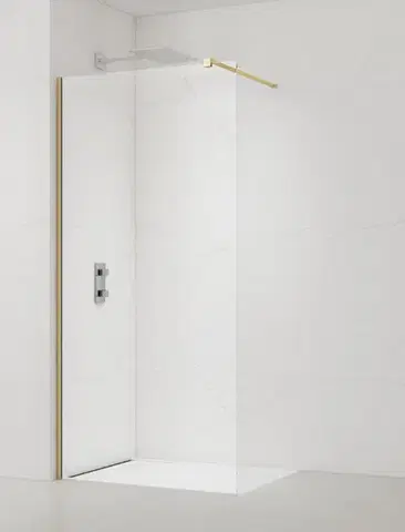 Sprchová zástěna walk-in 100 cm SAT Walk-In SATBWI100PRMO SATBWI100PRMO