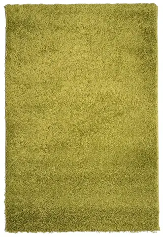 Mono Carpet, Kusový koberec Efor Shaggy 1903 Green, 80x150, zelená, ložnice