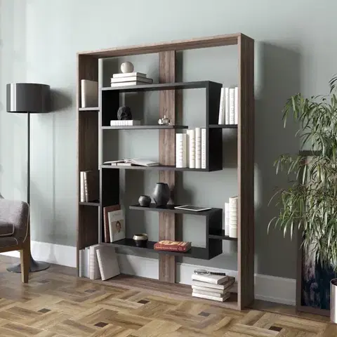 Knihovna Esteban - Walnut, Black