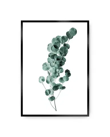 Plakát Eucalyptus Emerald Green