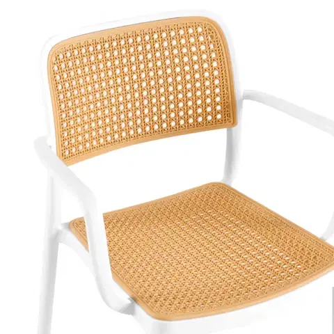 Stohovatelná židle RAVID TYP 2 Tempo Kondela