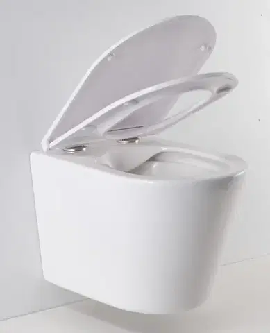 HOPA Závěsné WC OVALE BASSO RIMLESS s FLAT sedátkem Soft-close OLKLT053ER