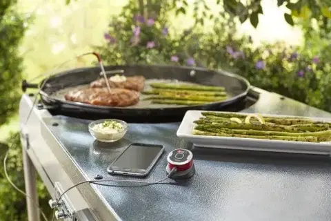 Dodatečná termosonda Weber iGrill a Connect