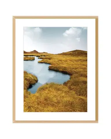 Obraz Grassy Field II 40x50cm