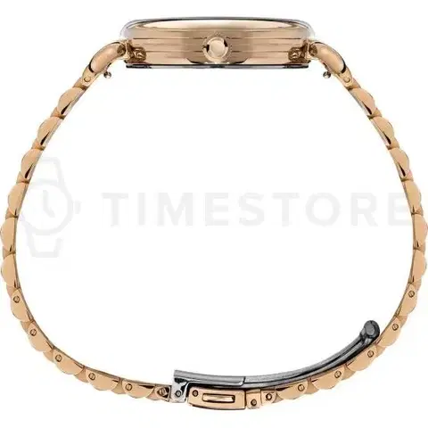 Timex TW2T88600