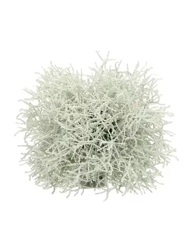 Dekorace Grass  ⌀20cm