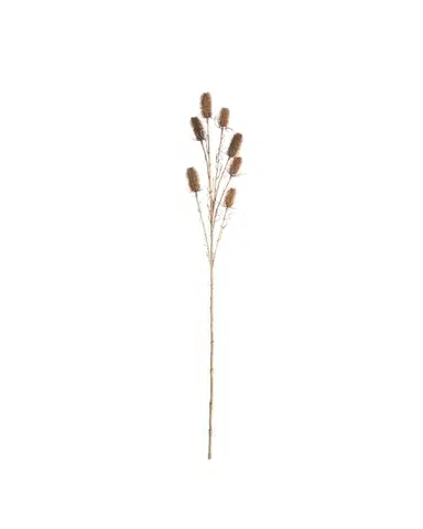 Okrasný bodlák 110cm beige