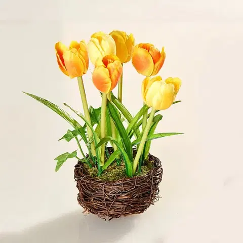 Tulipánové hnízdo Eldo