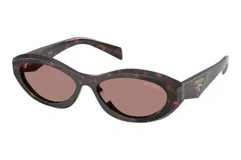 Prada PR26ZS 17N60B - ONE SIZE (55)