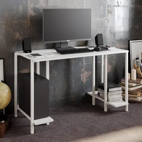Hanah Home Psací stůl READER bílý