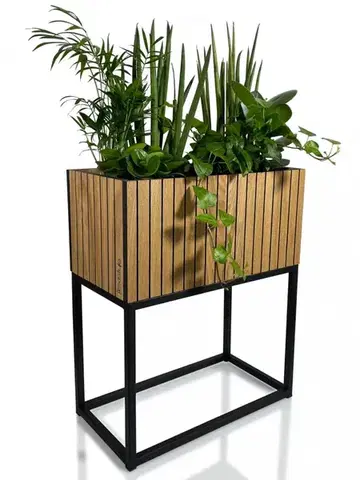 Nádherný květináč přírodní dubové dýhy LOFT FIORINO 42X22X50 cm