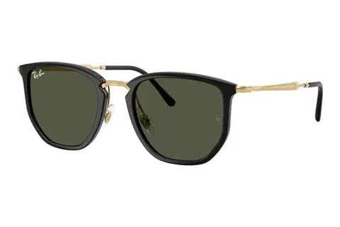 Ray-Ban RB4451 630631 - M (50)