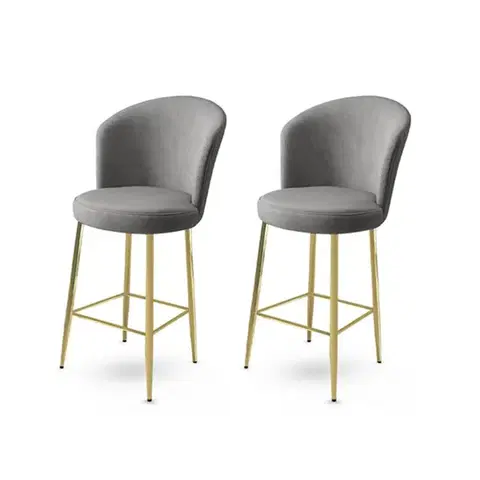 Bar Stool Set (2 Pieces) Alte - Grey, Gold