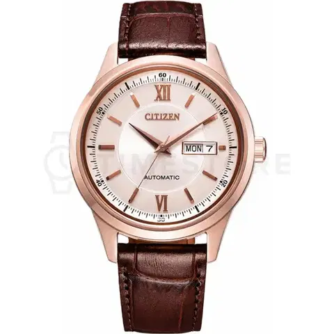 Citizen Collection NY4052-16A