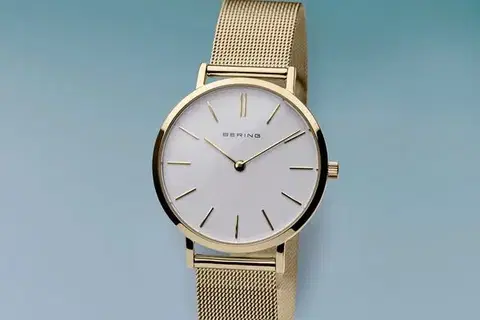 Bering Classic 14134-331