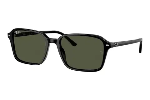 Ray-Ban Raimond RB2231 901/31 - M (56)
