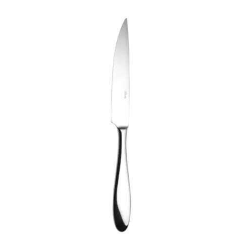 Steakový nůž s dutou rukojetí 24,5 cm - Turin - 103784