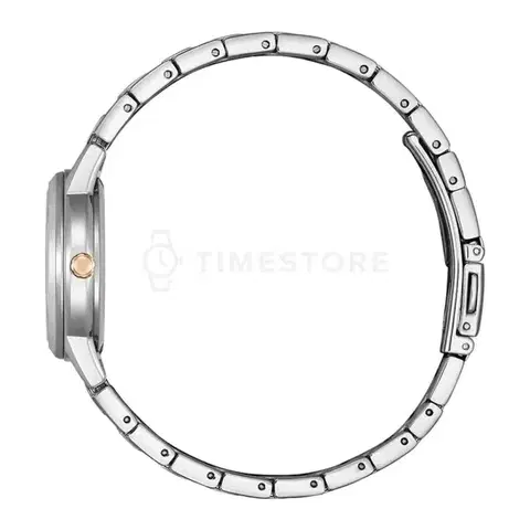 Citizen Eco-Drive FE1244-72A