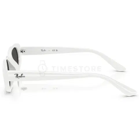 Ray-Ban RB4441D 677287 53