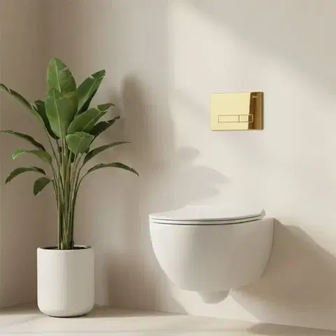 REA Ovládací tlačítko k podomítkovým systémům WC HD K011A-Q Gold REA-E9560