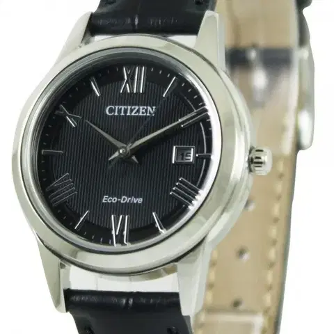 Citizen Eco-Drive FE1081-08E