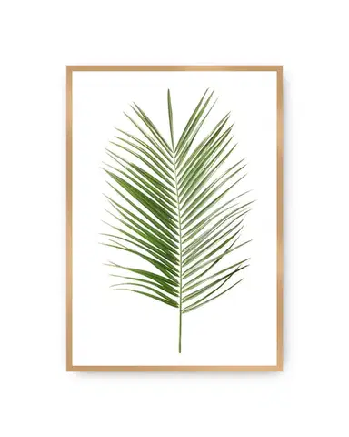 Plakát Palm Leaf Green