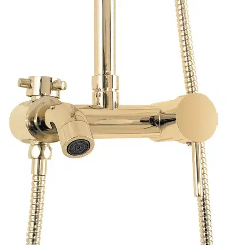 REA Sprchový set s baterií 150mm Luis zlatá REA-P7006